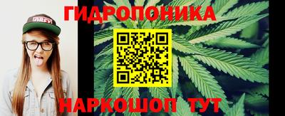 каннабис Кимры