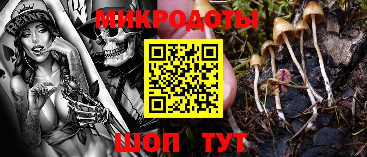 Псилоцибиновые грибы GOLDEN TEACHER  Вход с VPN  Псилоцибиновые грибы Psilocybine cubensis  Новошахтинск 